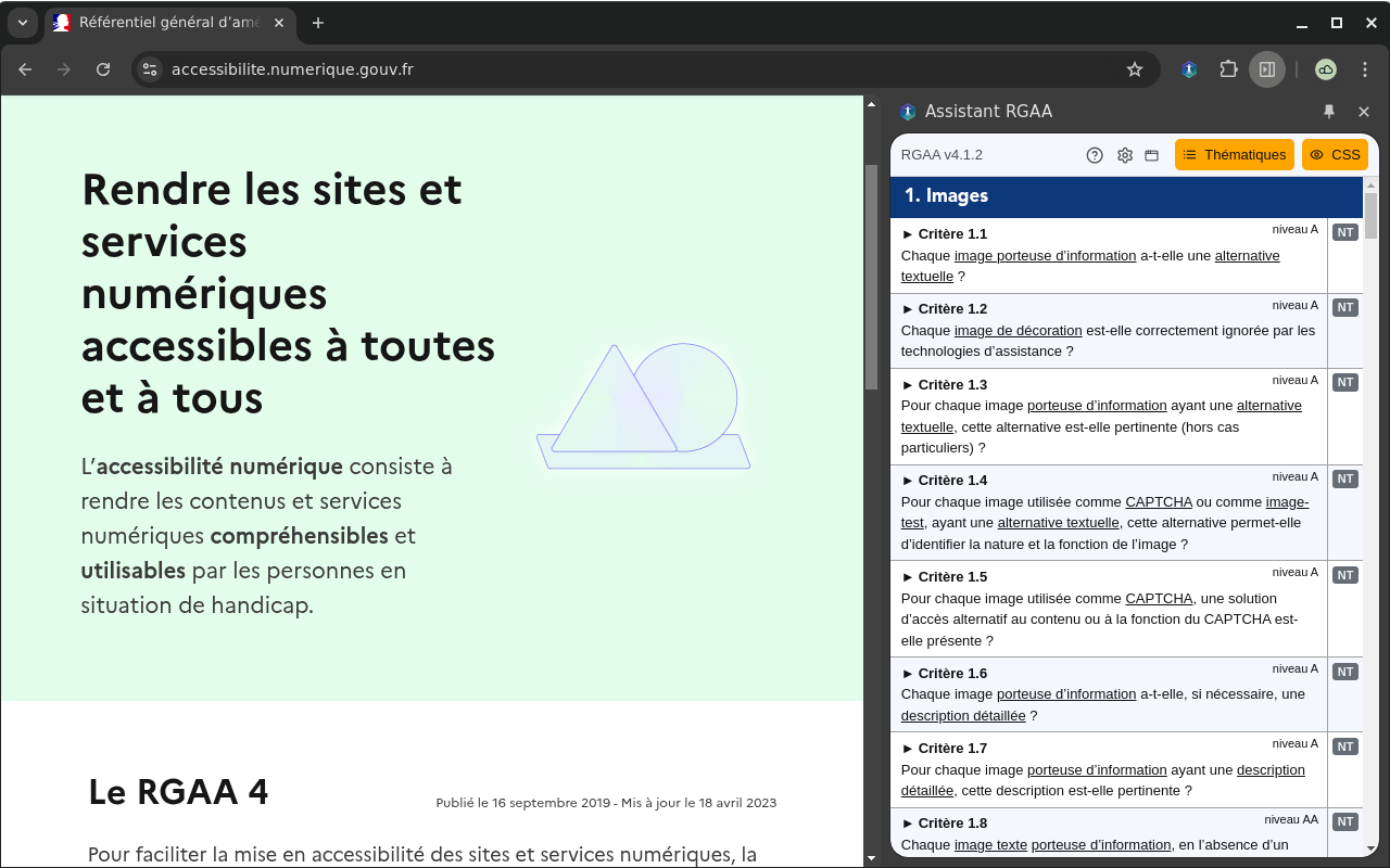 Assistant RGAA chrome谷歌浏览器插件_扩展第4张截图