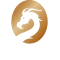 Công cụ đặt hàng bachlongorder.com LOGO 图标