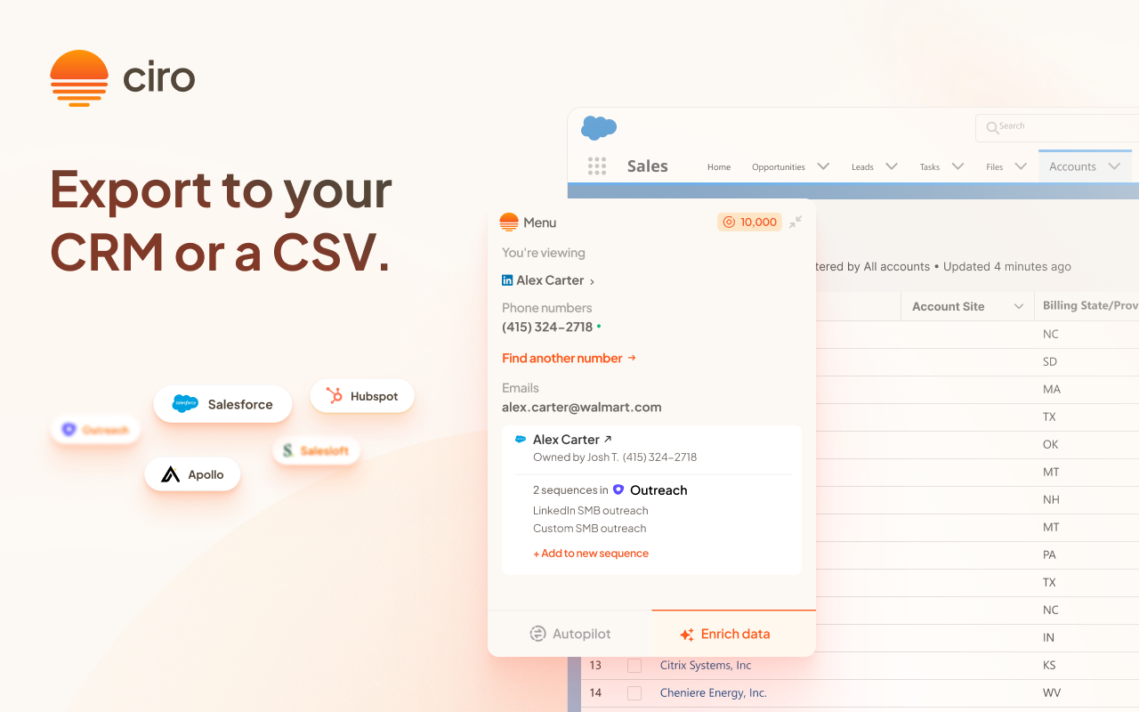 Ciro chrome谷歌浏览器插件_扩展第1张截图