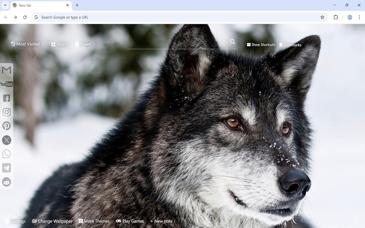 Wolf Wallpaper New Tab chrome谷歌浏览器插件_扩展第2张截图