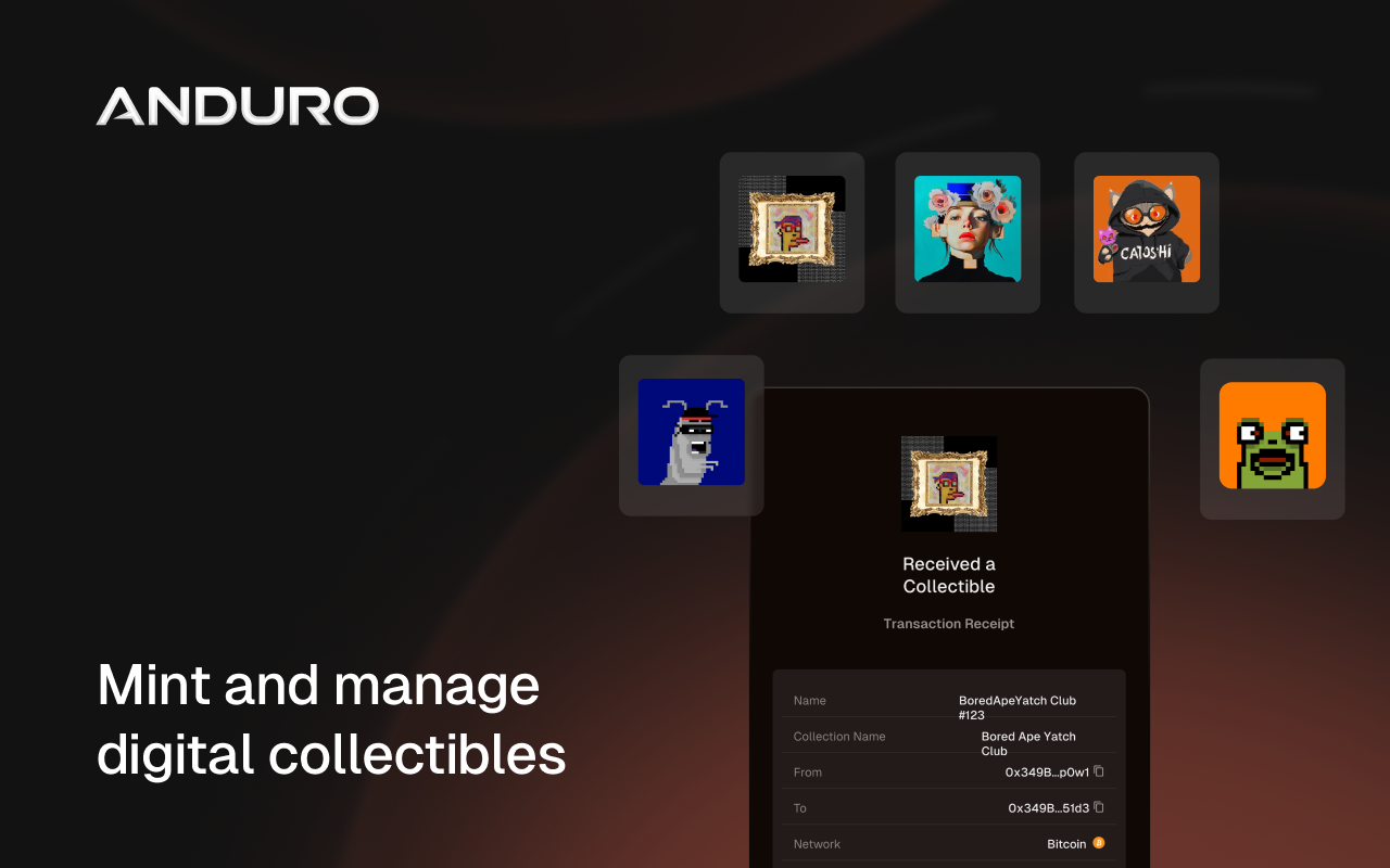 Anduro chrome谷歌浏览器插件_扩展第1张截图