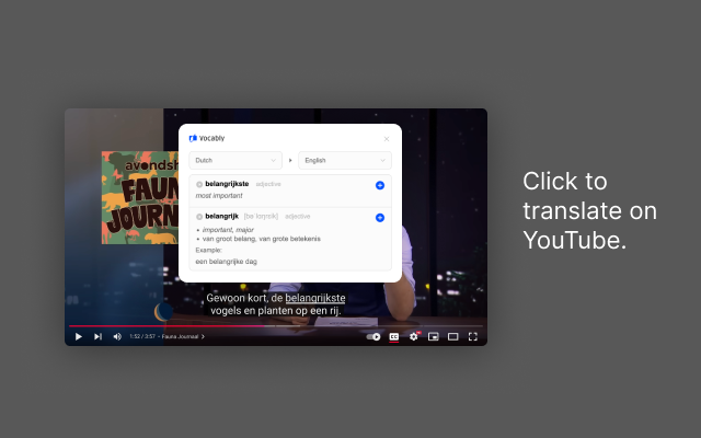 Vocably: Language Flashcards chrome谷歌浏览器插件_扩展第3张截图