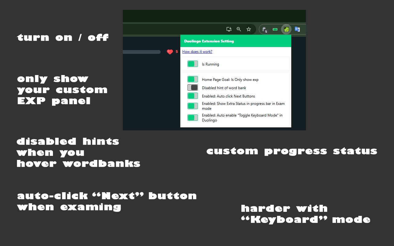Extension for Duolingo chrome谷歌浏览器插件_扩展第5张截图