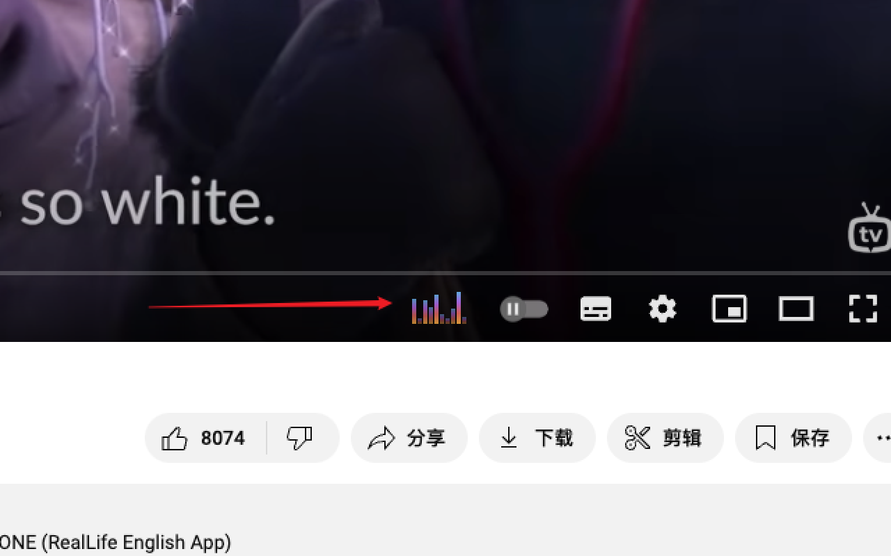 SounTube: Real-Time YouTube Multilingual Audio Translation chrome谷歌浏览器插件_扩展第3张截图