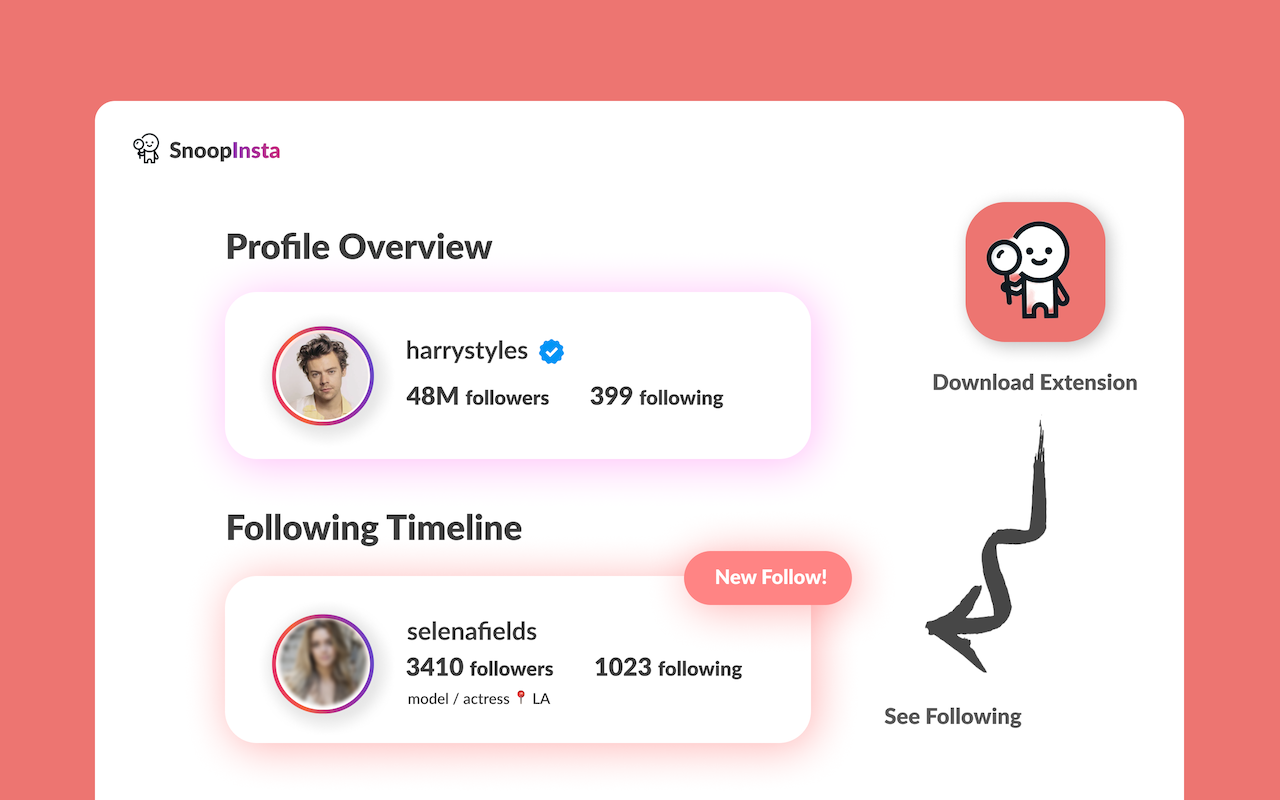 SnoopInsta chrome谷歌浏览器插件_扩展第2张截图