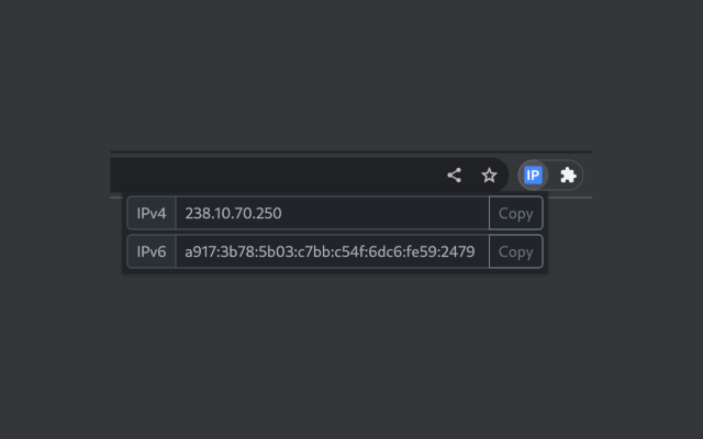QuickIP chrome谷歌浏览器插件_扩展第1张截图