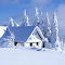 Winter Wallpaper LOGO 图标