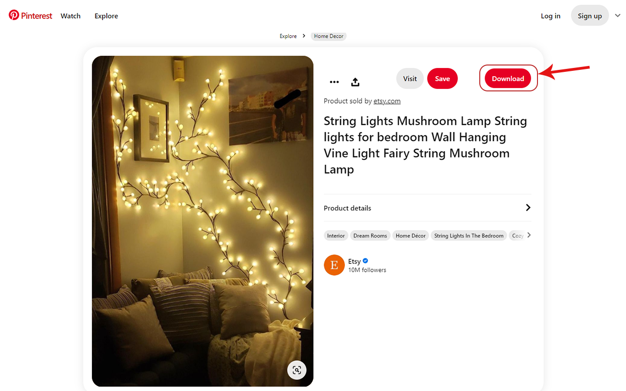 Download Pinterest Videos - Pinedia chrome谷歌浏览器插件_扩展第2张截图