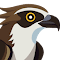 Osprey: Browser Protection