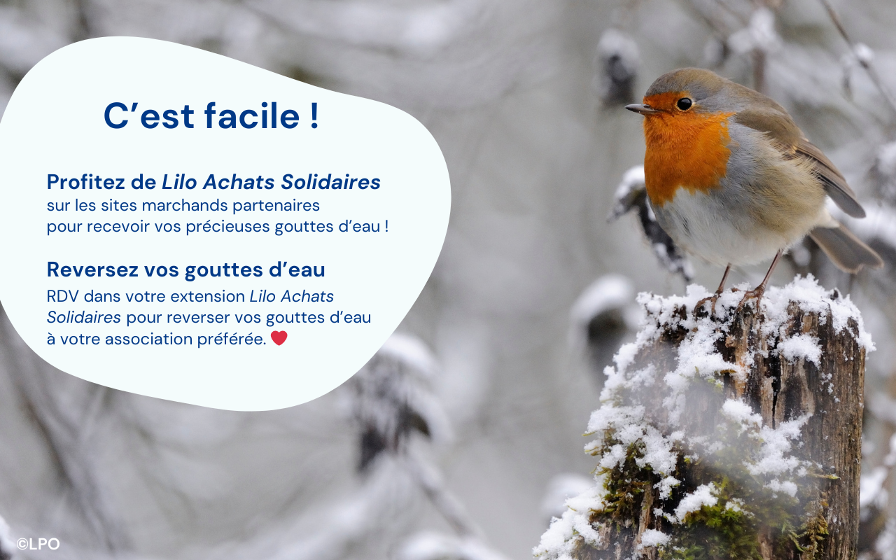 Lilo - Achats Solidaires chrome谷歌浏览器插件_扩展第2张截图