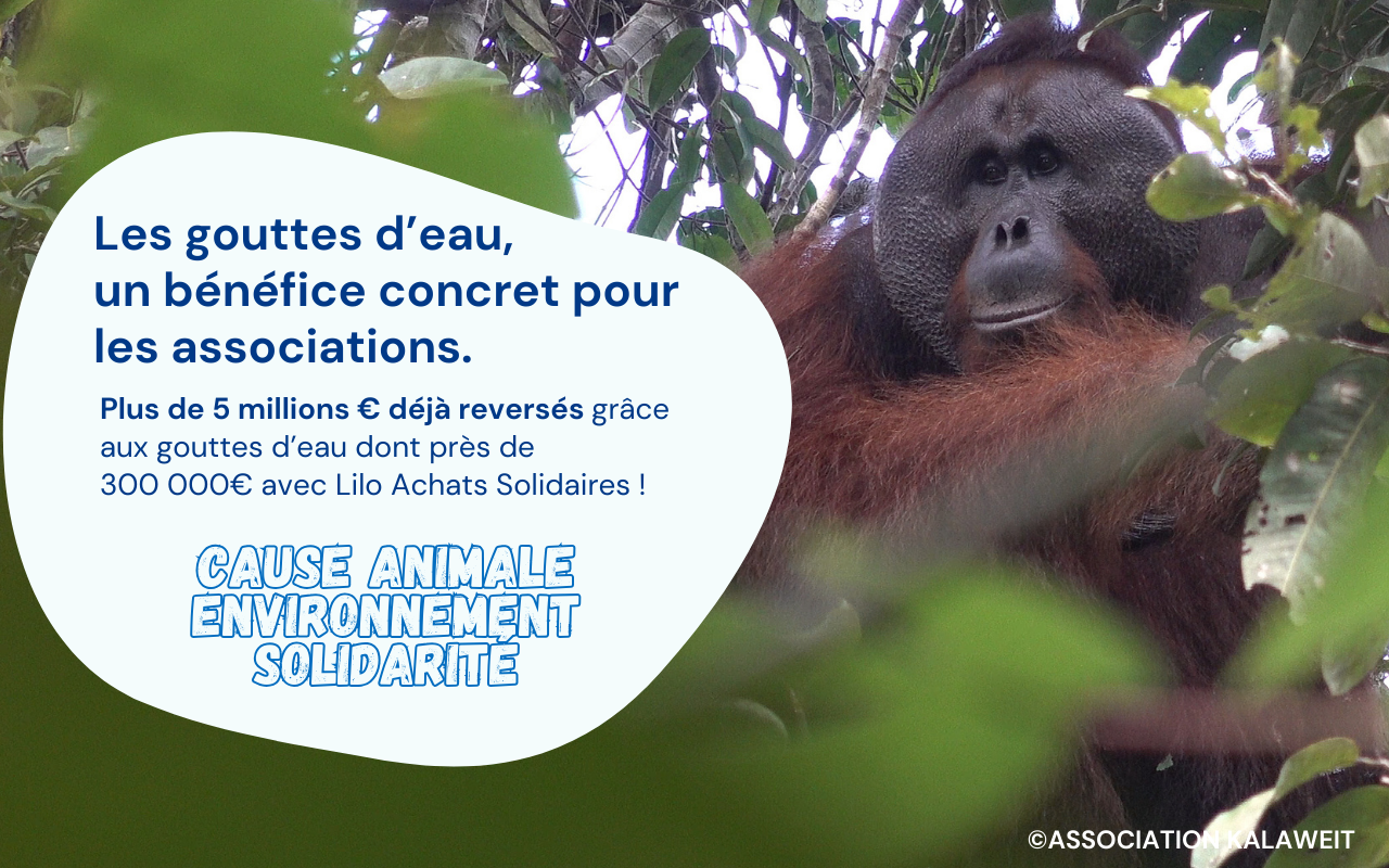 Lilo - Achats Solidaires chrome谷歌浏览器插件_扩展第3张截图