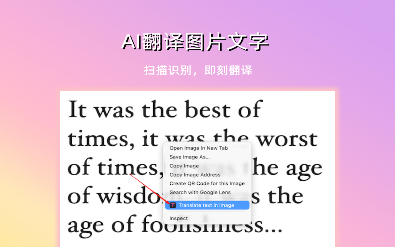 TransorAI - 专业的AI翻译工具 | 网页、字幕、PDF、图片实时翻译 chrome谷歌浏览器插件_扩展第2张截图