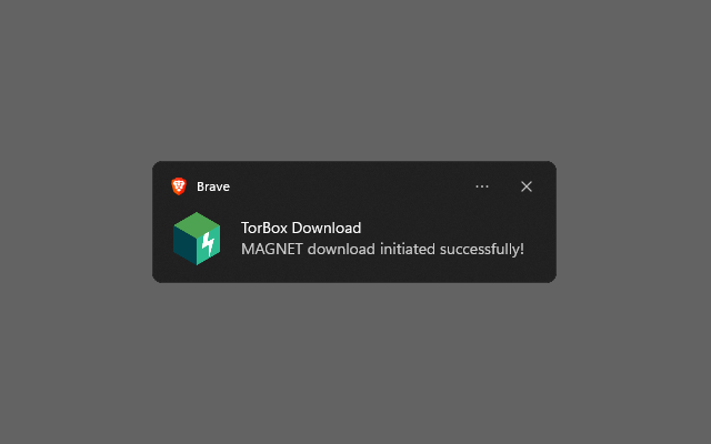 TorBox Web Downloader chrome谷歌浏览器插件_扩展第3张截图