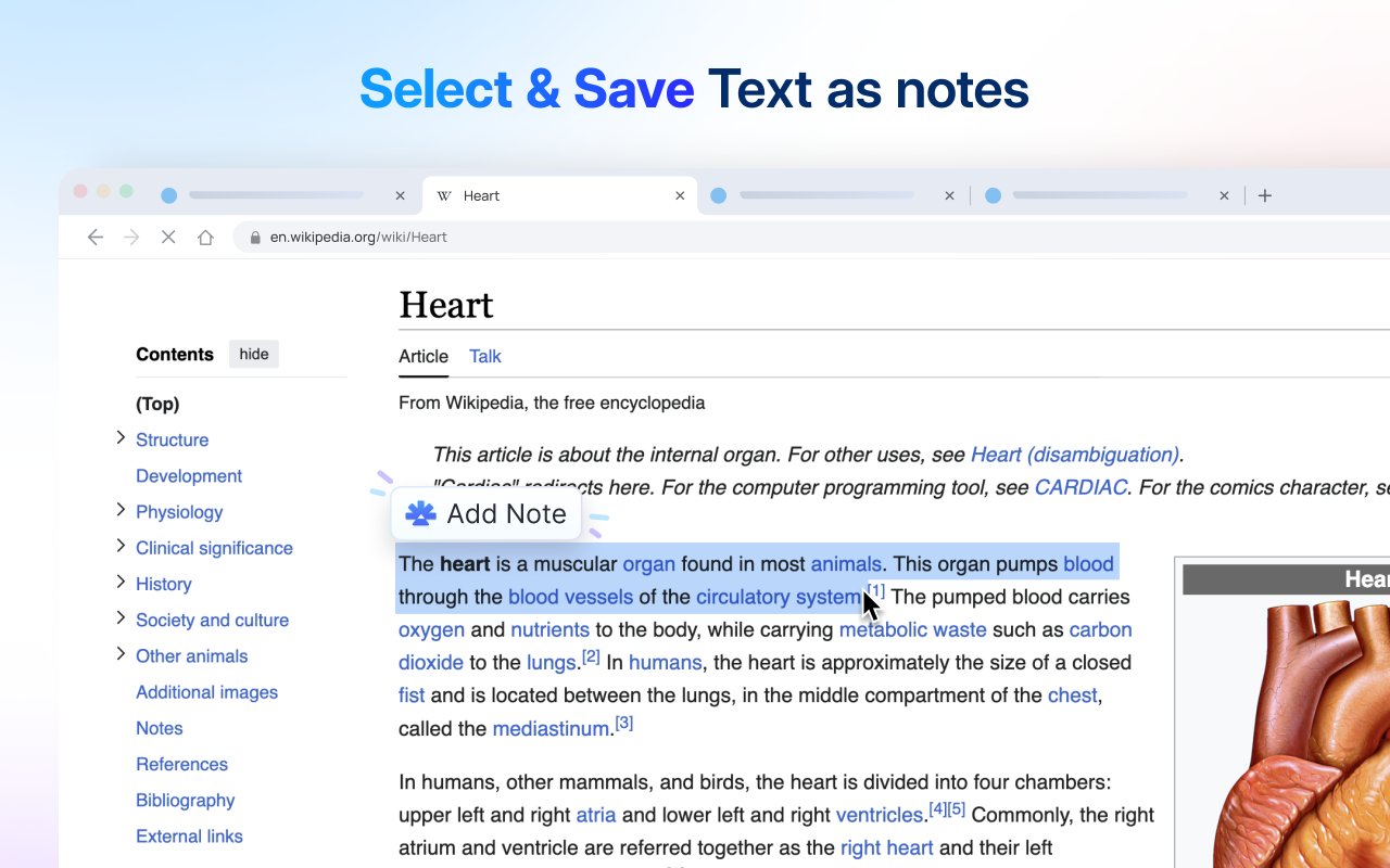 RemNote Clipper chrome谷歌浏览器插件_扩展第1张截图