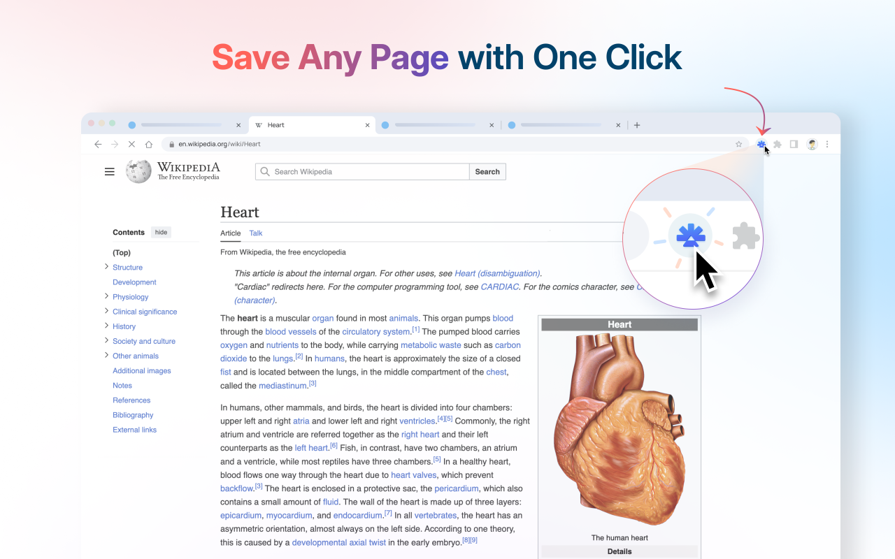 RemNote Clipper chrome谷歌浏览器插件_扩展第3张截图