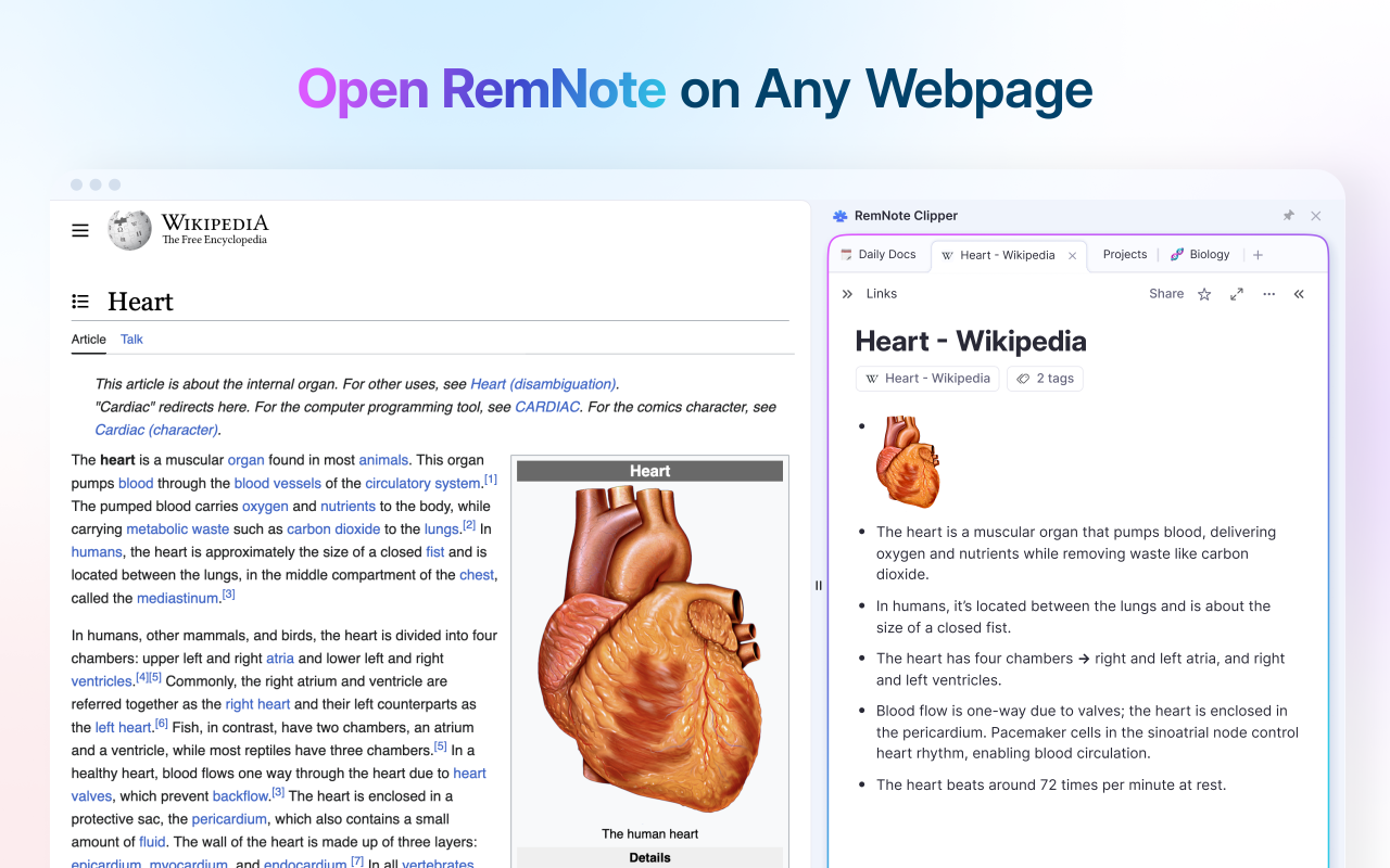RemNote Clipper chrome谷歌浏览器插件_扩展第4张截图