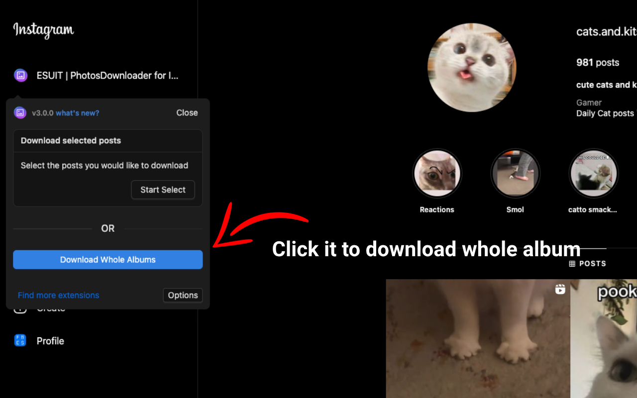 ESUIT | Photos Downloader for Instagram™ chrome谷歌浏览器插件_扩展第4张截图