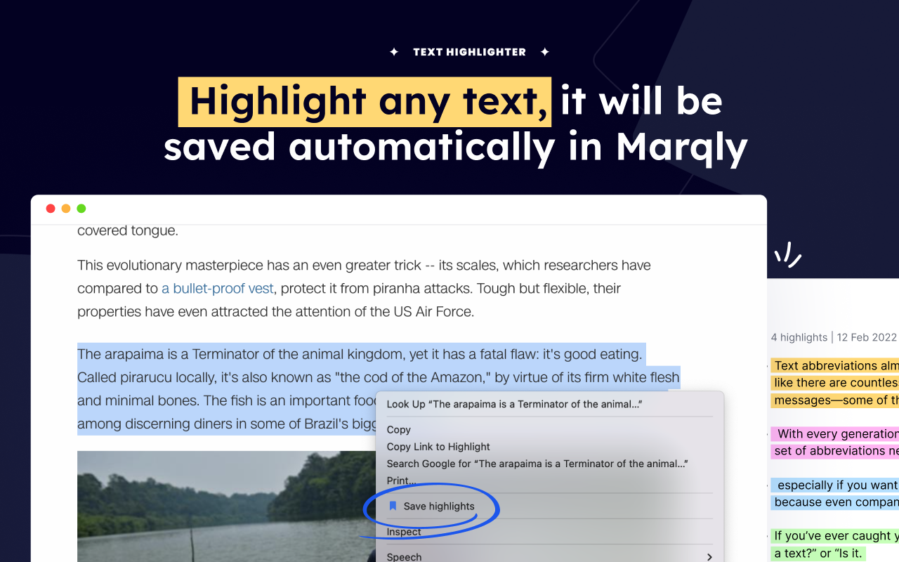 Marqly - All in one bookmark manager chrome谷歌浏览器插件_扩展第3张截图