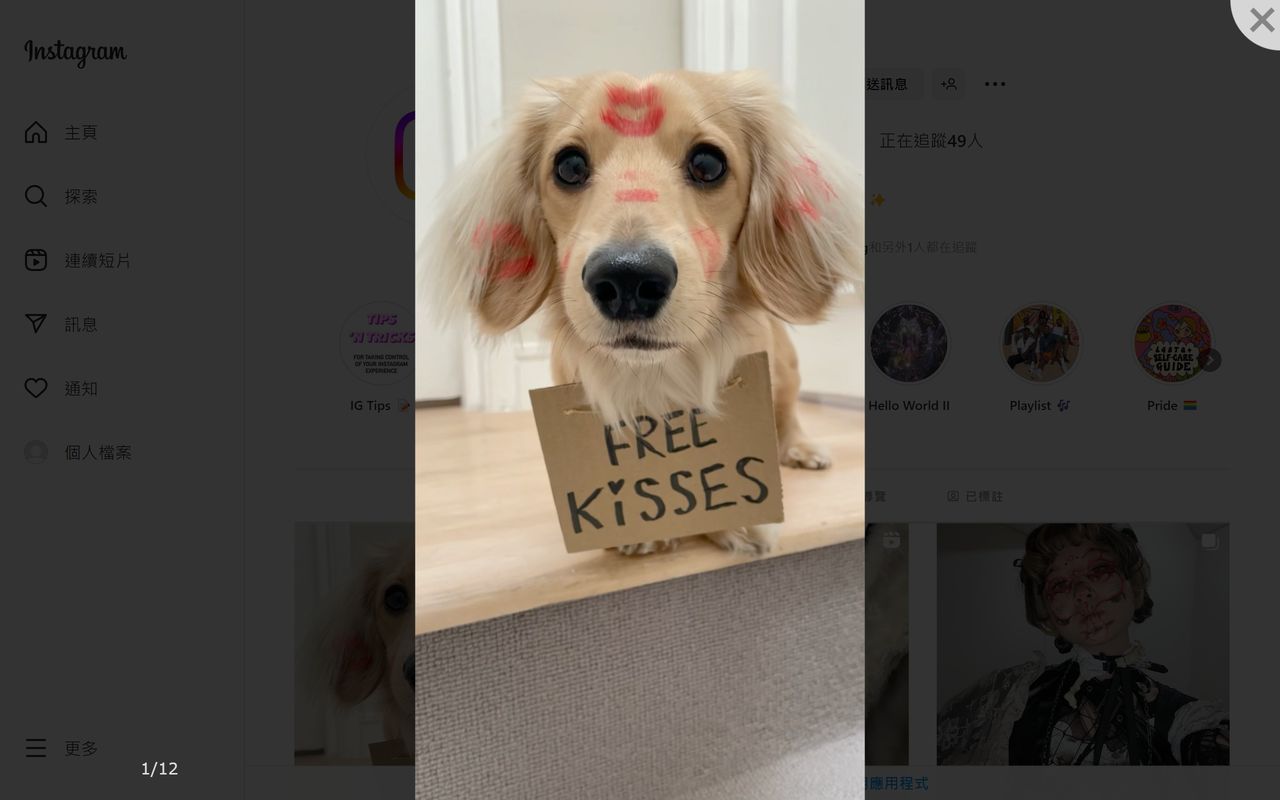 Image Viewer chrome谷歌浏览器插件_扩展第1张截图