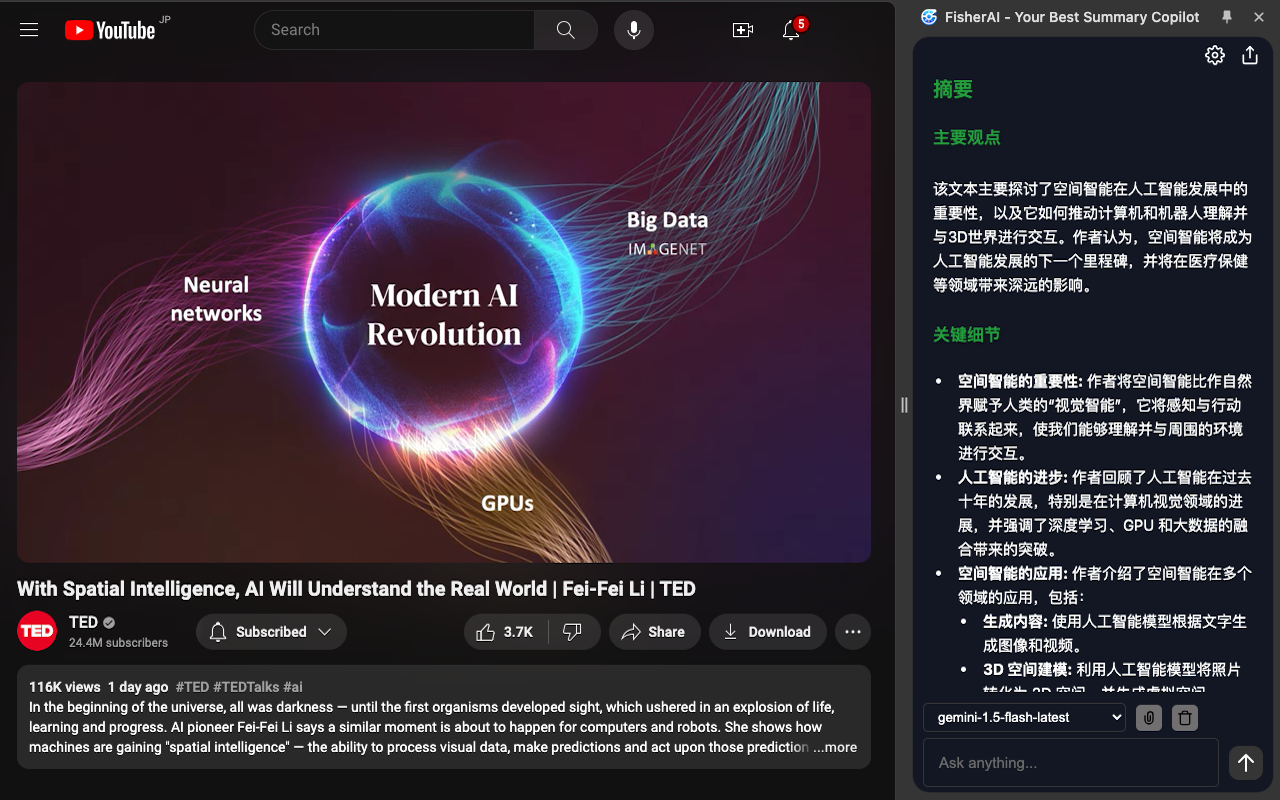 FisherAI - Your Best Summary Copilot: Free Gemini & DeepSeek chrome谷歌浏览器插件_扩展第6张截图