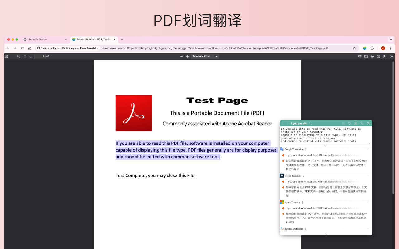沙拉翻译：聚合词典 、划词翻译、沉浸式(对照)翻译 & 查词 chrome谷歌浏览器插件_扩展第2张截图