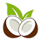 CocoLeech LOGO 图标