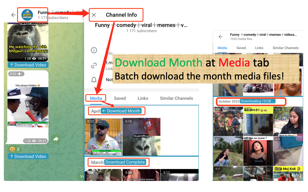 Telegram Video Downloader -Telegram视频图片下载器-TVD chrome谷歌浏览器插件_扩展第4张截图
