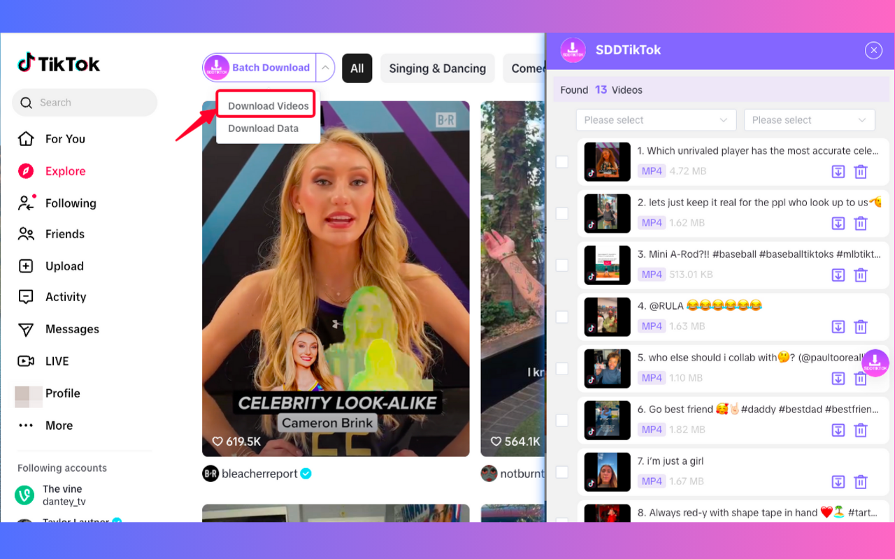 SDDTikTok-支持单个、批量免费下载TikTok视频图片，博主数据 chrome谷歌浏览器插件_扩展第4张截图