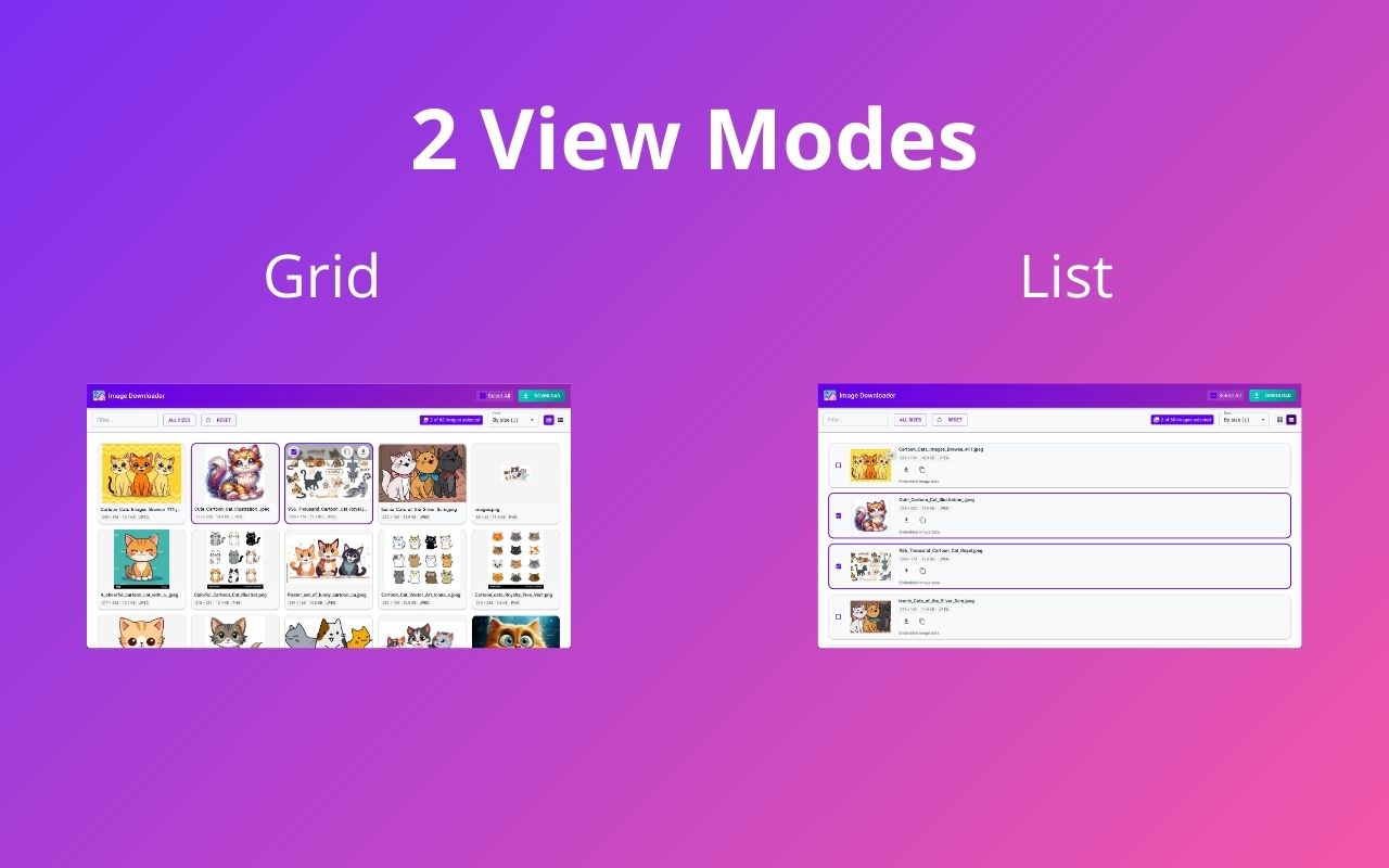 图像下载器 | Image Downloader chrome谷歌浏览器插件_扩展第4张截图