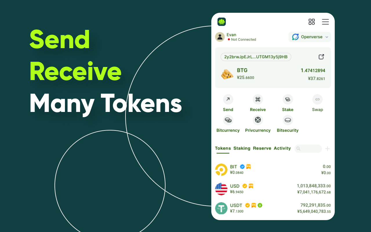 Faypay chrome谷歌浏览器插件_扩展第2张截图