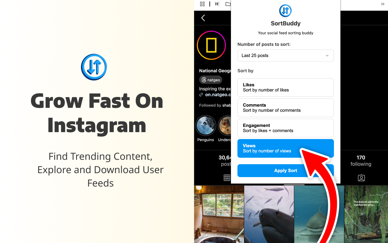 SortBuddy chrome谷歌浏览器插件_扩展第3张截图