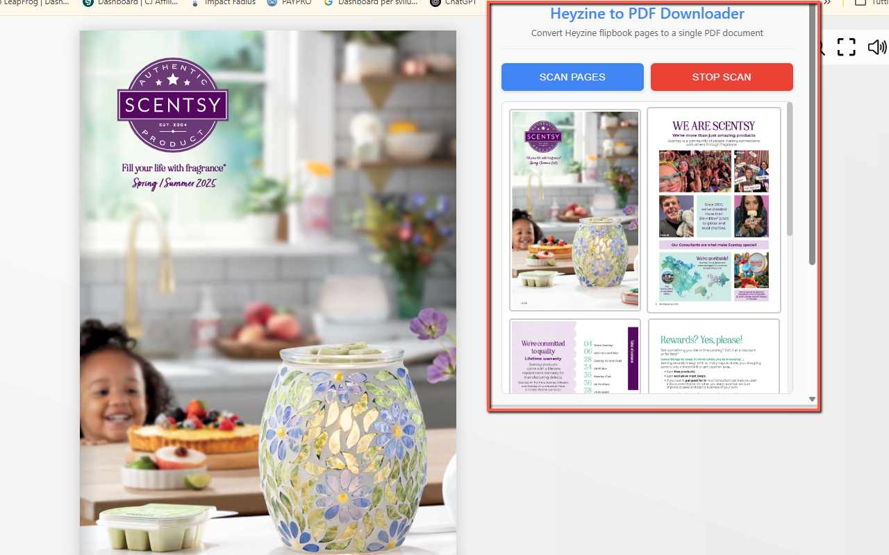 Heyzine Flipbook to PDF Downloader chrome谷歌浏览器插件_扩展第1张截图