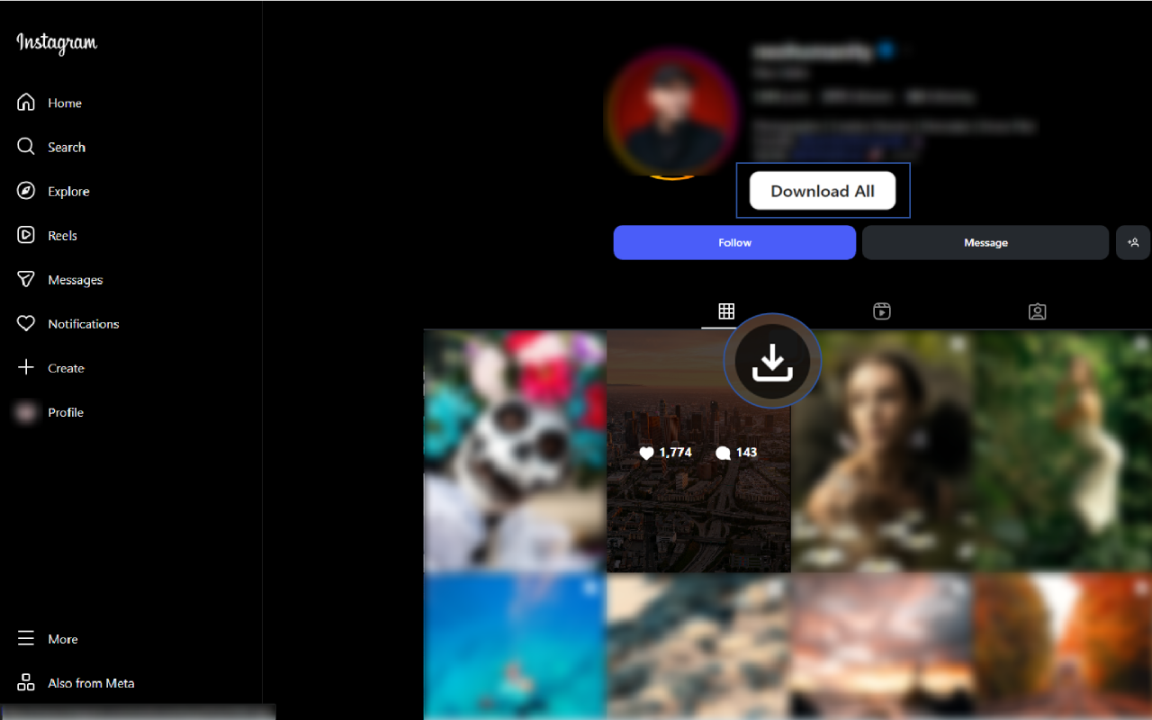 Instagram下载器 - 下载Instagram视频、快拍(Story)、Reels及照片 chrome谷歌浏览器插件_扩展第1张截图
