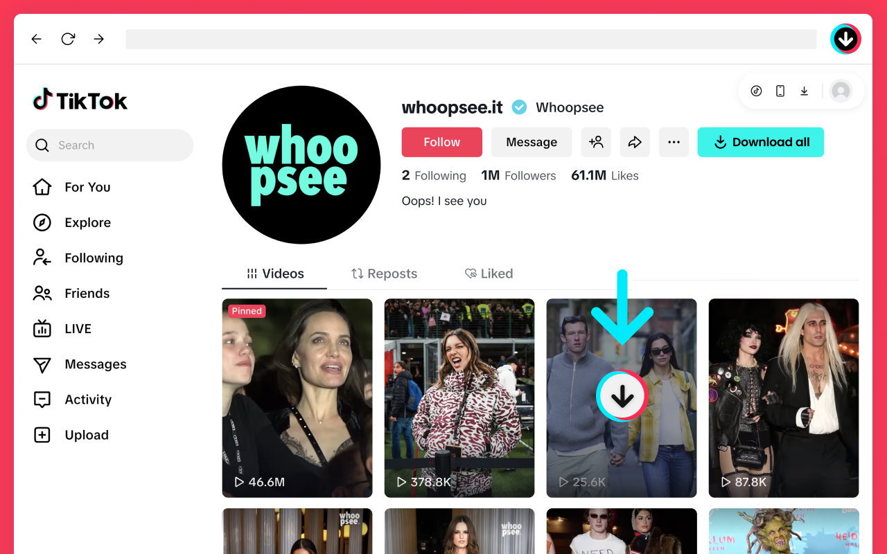 TikTok 下载器 – 保存无水印视频 chrome谷歌浏览器插件_扩展第5张截图