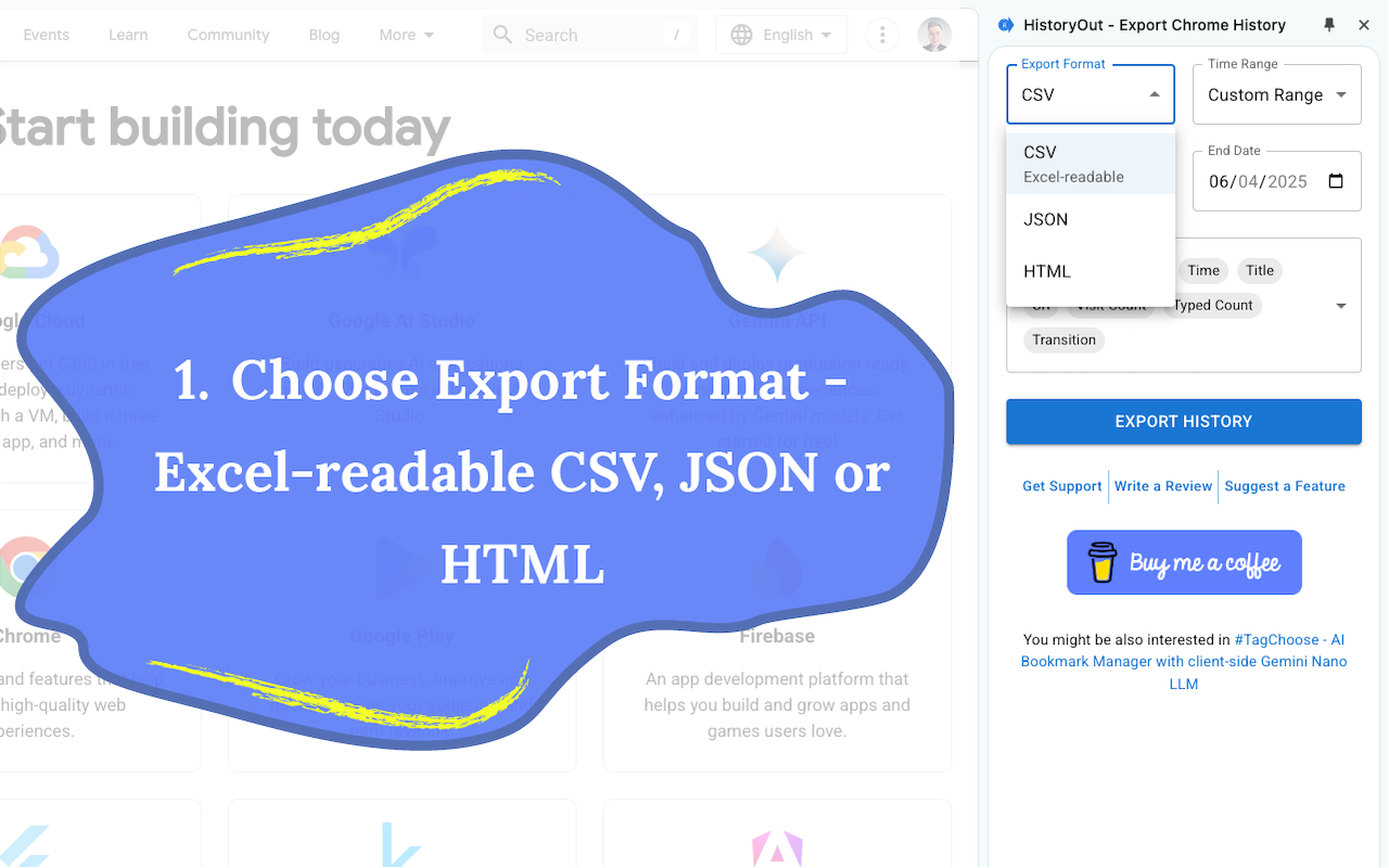 HistoryOut - Export Chrome History chrome谷歌浏览器插件_扩展第4张截图