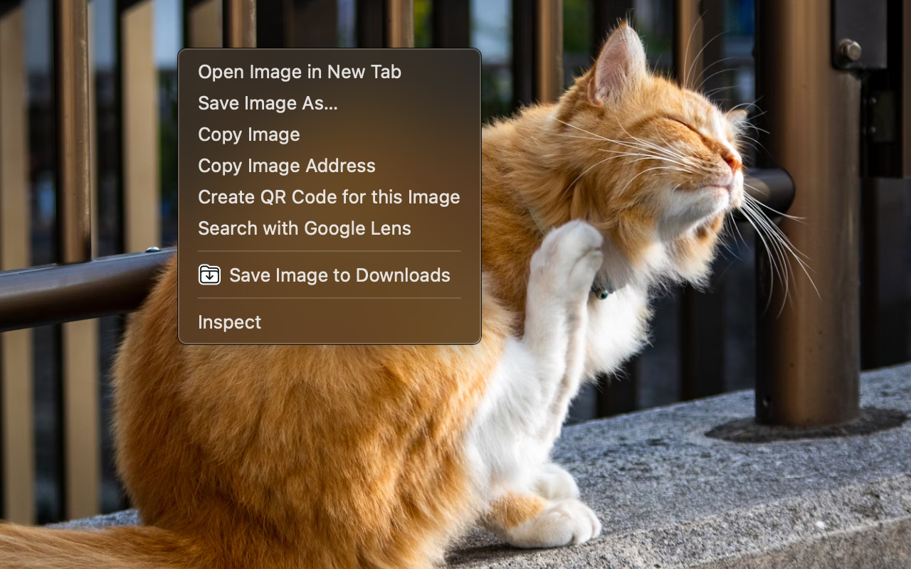 Save Image to Downloads chrome谷歌浏览器插件_扩展第1张截图