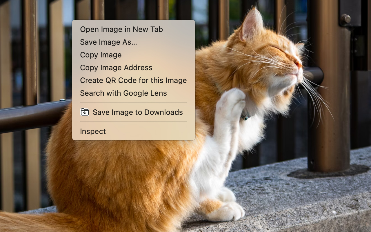 Save Image to Downloads chrome谷歌浏览器插件_扩展第2张截图