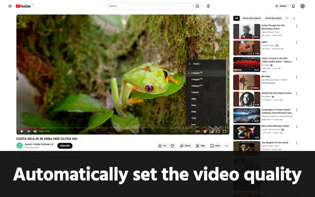 GoodTube - Adblock for Youtube + Remove Youtube Shorts + Auto Set Quality chrome谷歌浏览器插件_扩展第5张截图