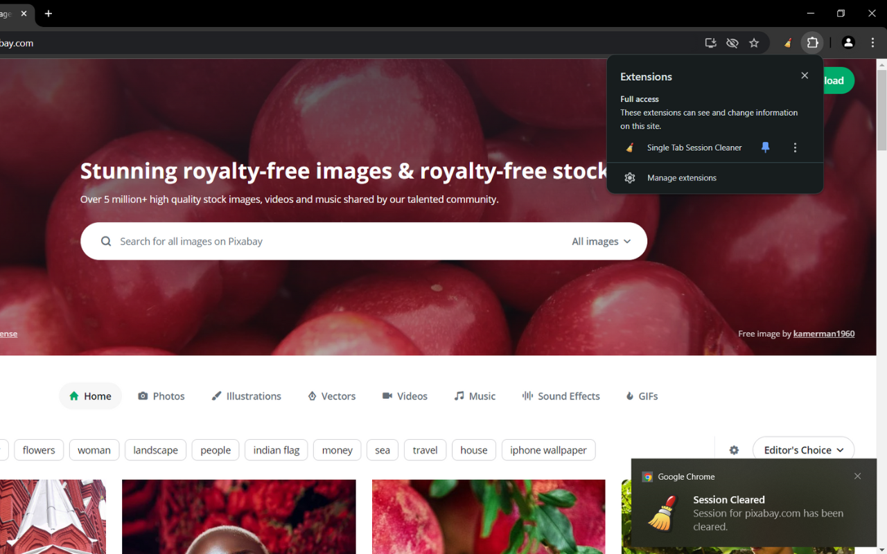 Single Tab Session Cleaner chrome谷歌浏览器插件_扩展第1张截图