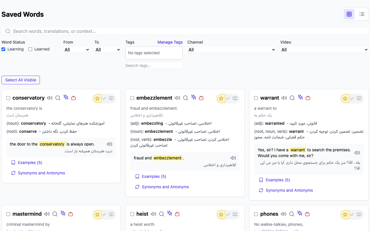 FluentHub AI: Dual Subtitles & Language Learning for YouTube & Netflix chrome谷歌浏览器插件_扩展第5张截图