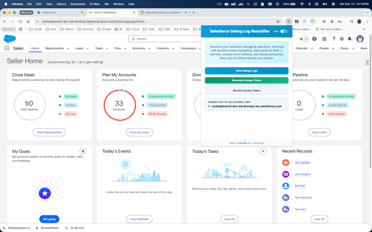 Salesforce Debug Log Beautifier chrome谷歌浏览器插件_扩展第2张截图