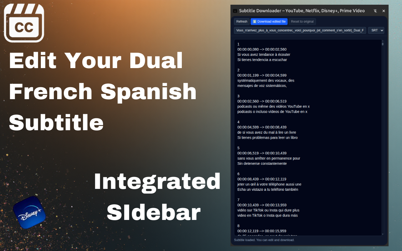 YouTube、Netflix、Disney+、Prime Video 字幕下载器 chrome谷歌浏览器插件_扩展第4张截图