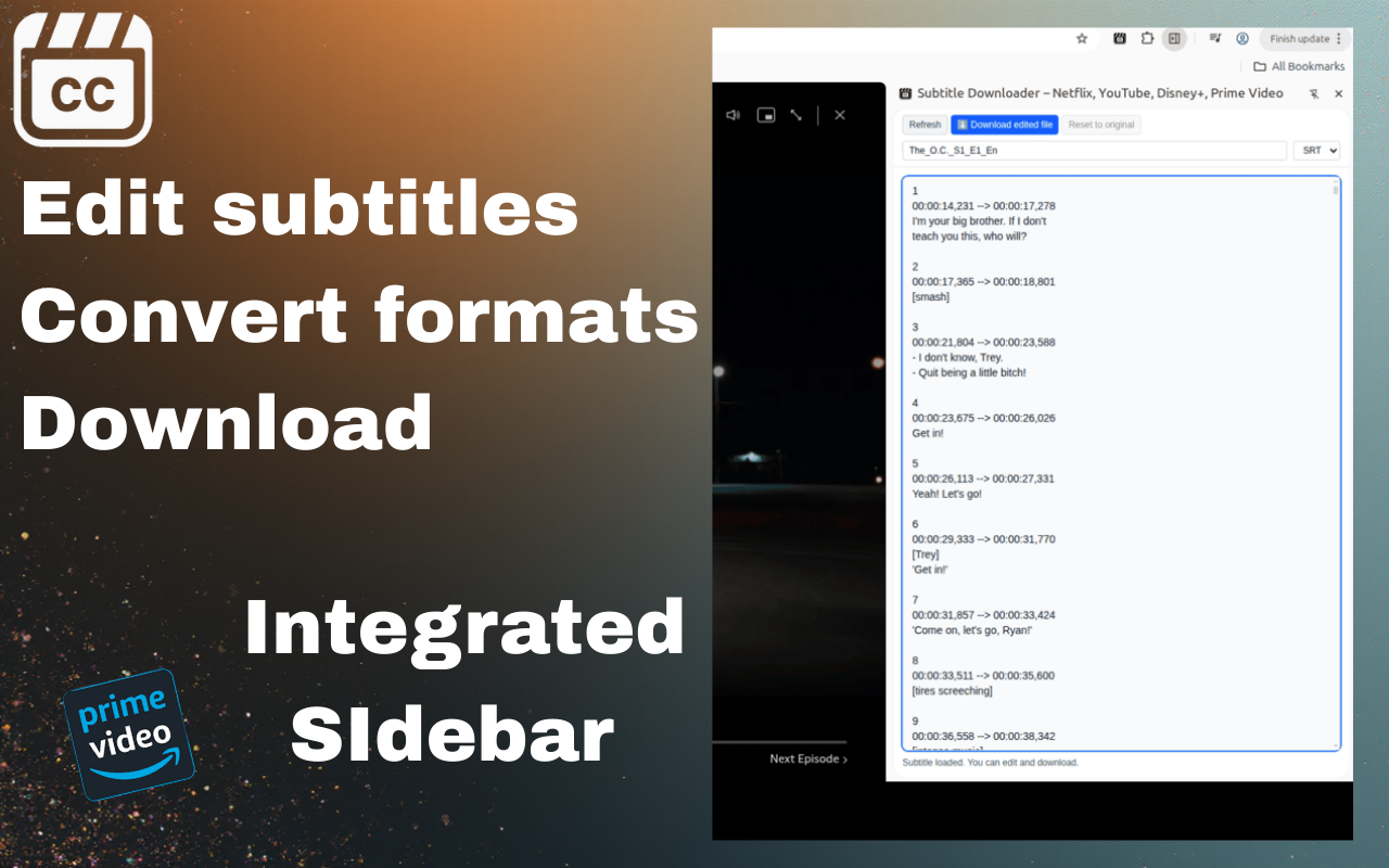 YouTube、Netflix、Disney+、Prime Video 字幕下载器 chrome谷歌浏览器插件_扩展第5张截图