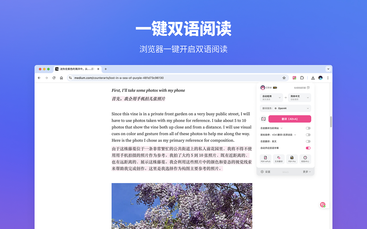 沉浸式翻译 - 网页翻译插件 | PDF翻译 | 免费 chrome谷歌浏览器插件_扩展第5张截图