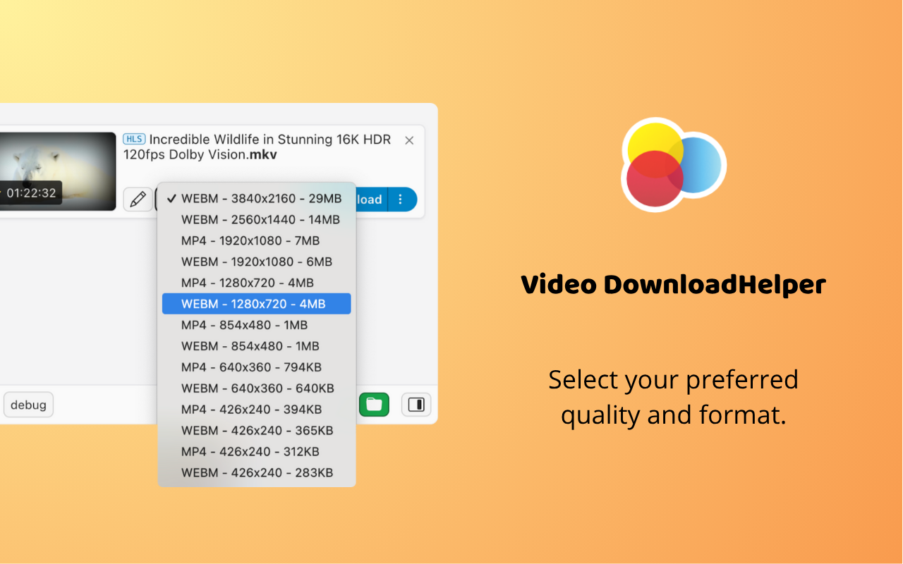 Video DownloadHelper chrome谷歌浏览器插件_扩展第4张截图