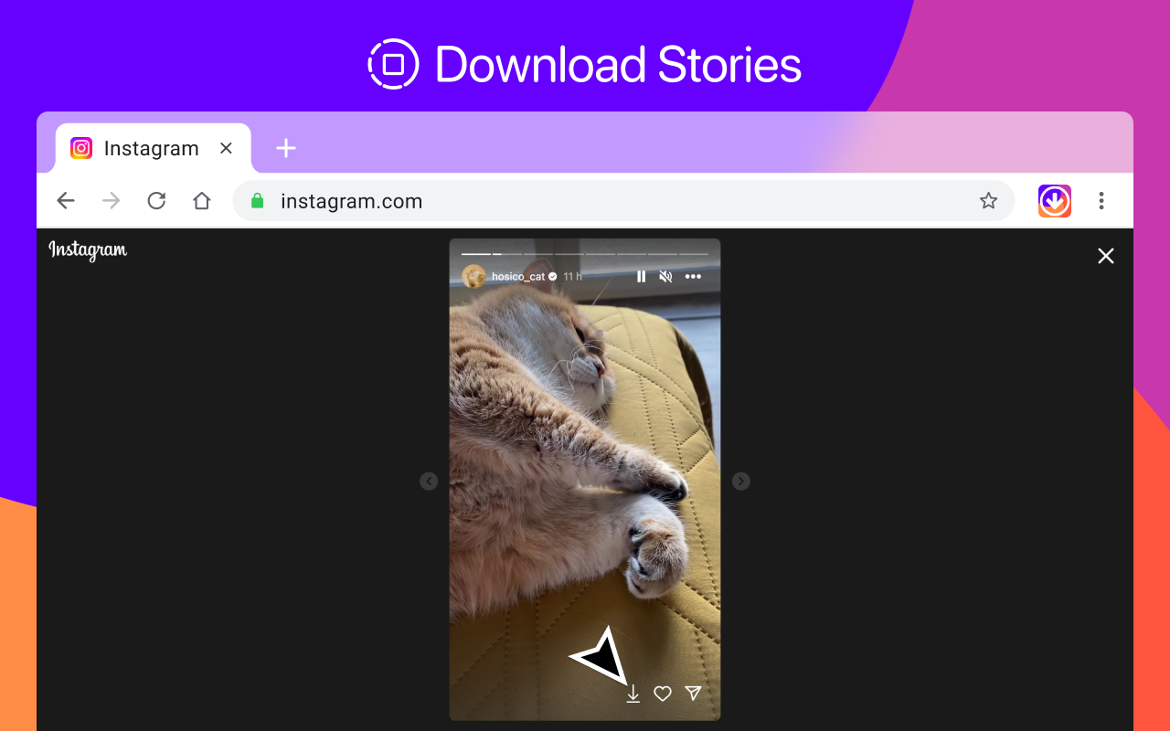 FastSave chrome谷歌浏览器插件_扩展第3张截图