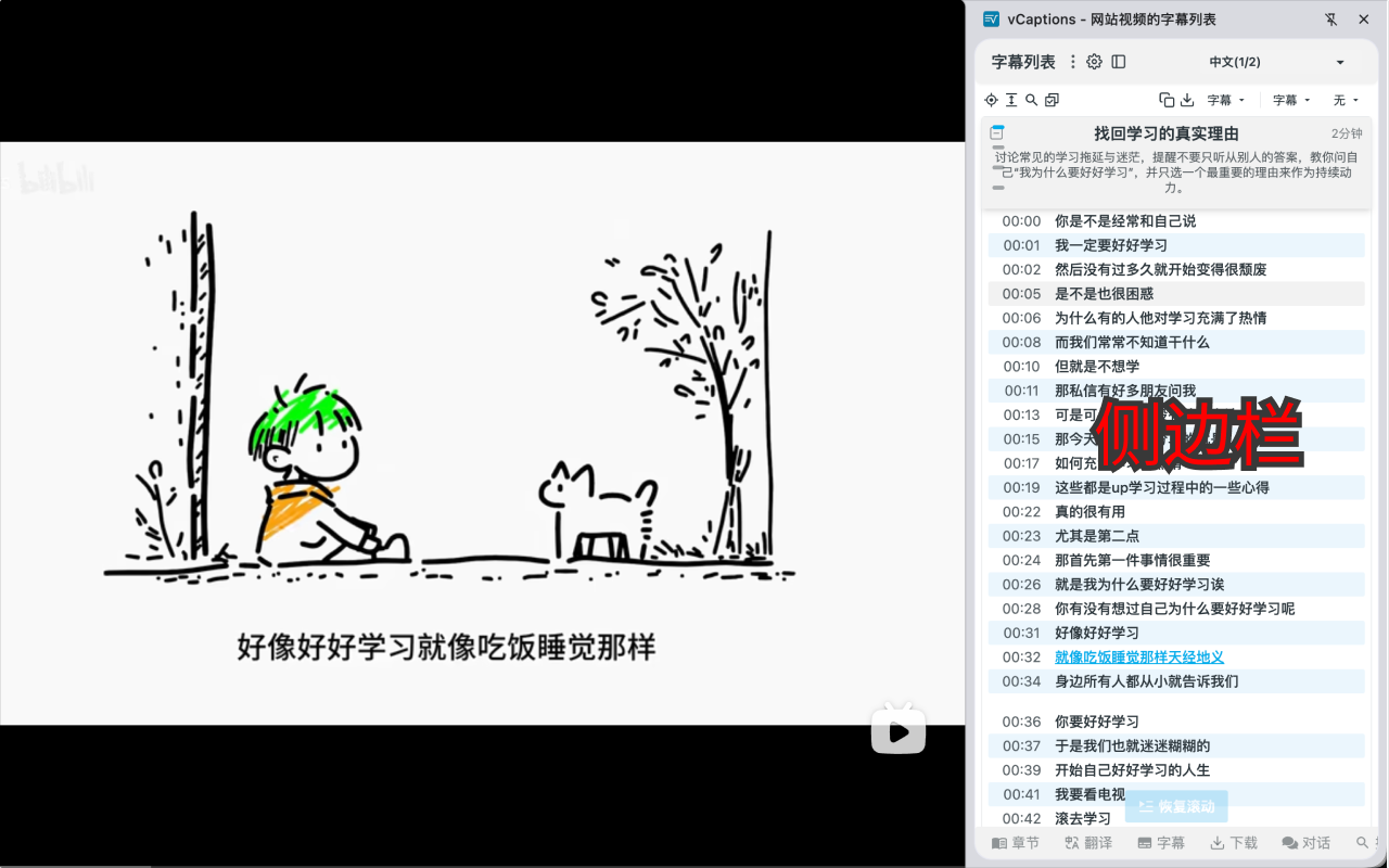 vCaptions - 网站视频的字幕列表 chrome谷歌浏览器插件_扩展第2张截图