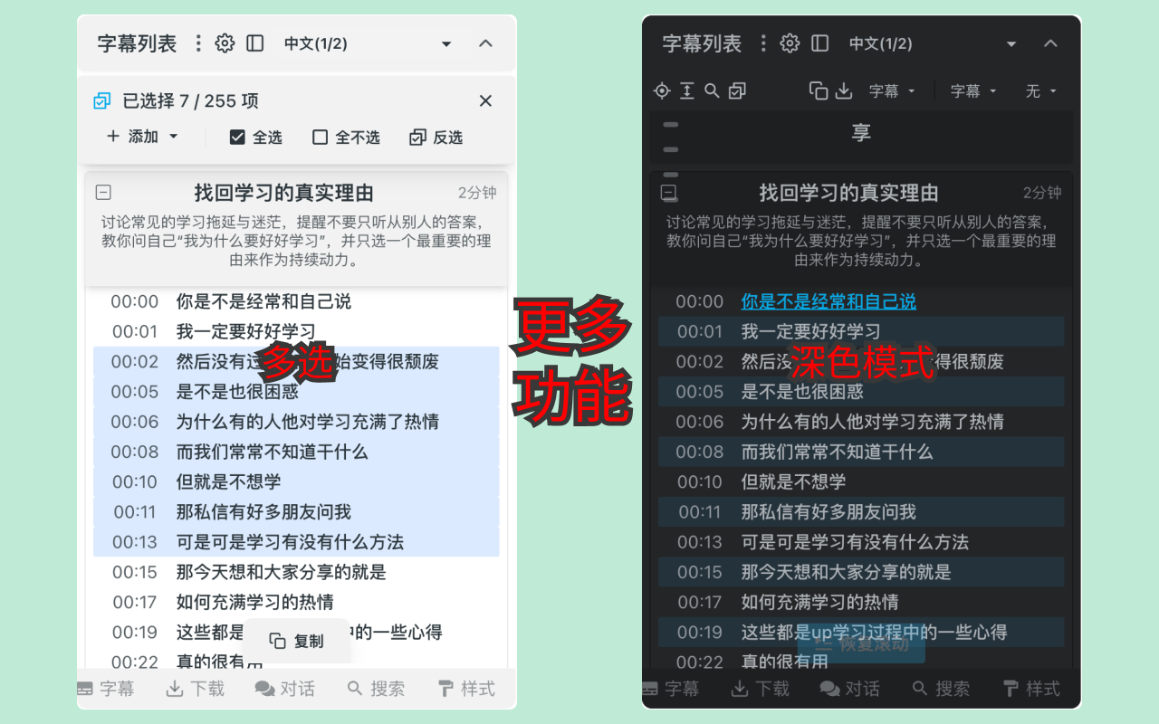 vCaptions - 网站视频的字幕列表 chrome谷歌浏览器插件_扩展第5张截图