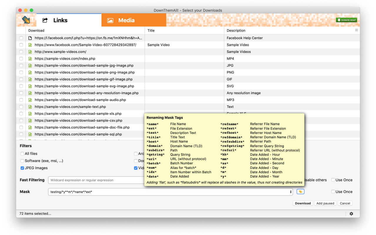 DownThemAll! chrome谷歌浏览器插件_扩展第4张截图