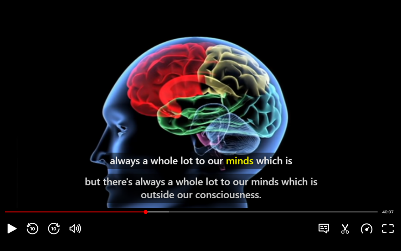 Netflix 双语字幕 chrome谷歌浏览器插件_扩展第1张截图